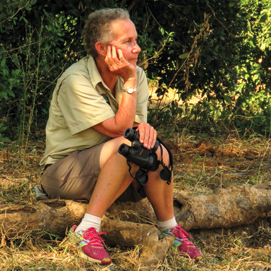 Image of Author Cathy (Catherine) Buckle